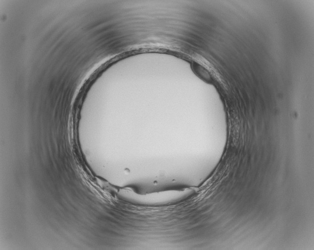 X0000067001076200604241358