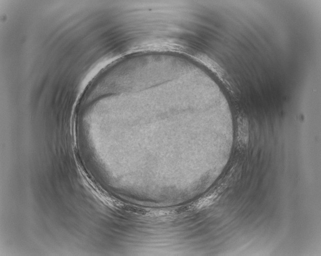 X0000067001078200604241358