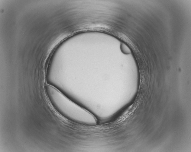 X0000067001079200604241358