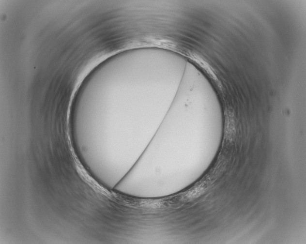 X0000067001080200604241358