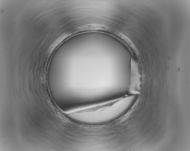 X0000067001081200604241358