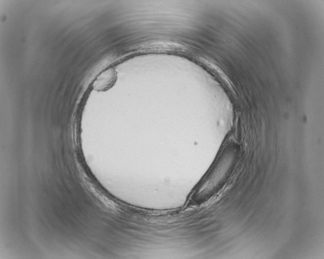 X0000067001083200604241358