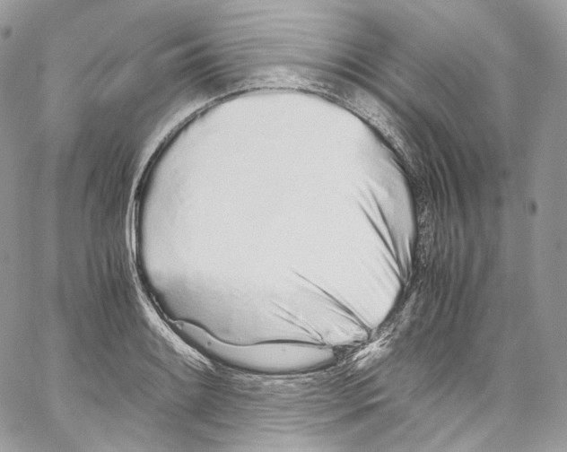 X0000067001084200604241358