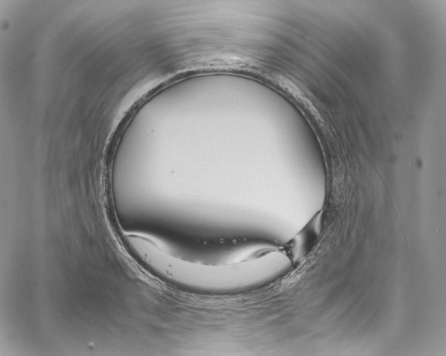 X0000067001085200604241358