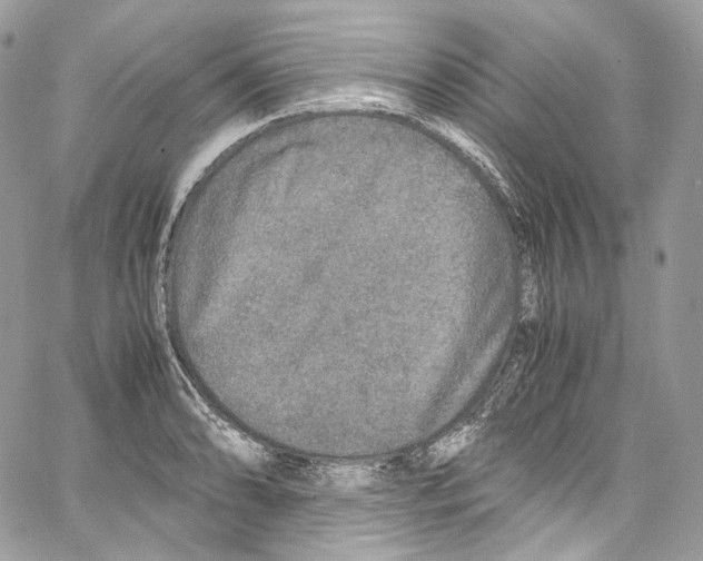 X0000067001086200604241358