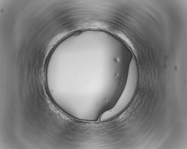 X0000067001088200604241358