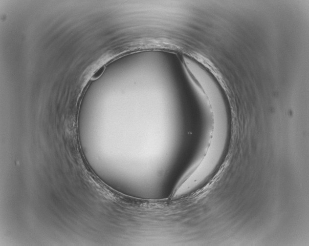 X0000067001089200604241358