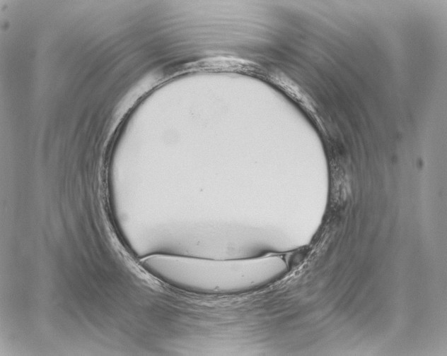 X0000067001091200604241358