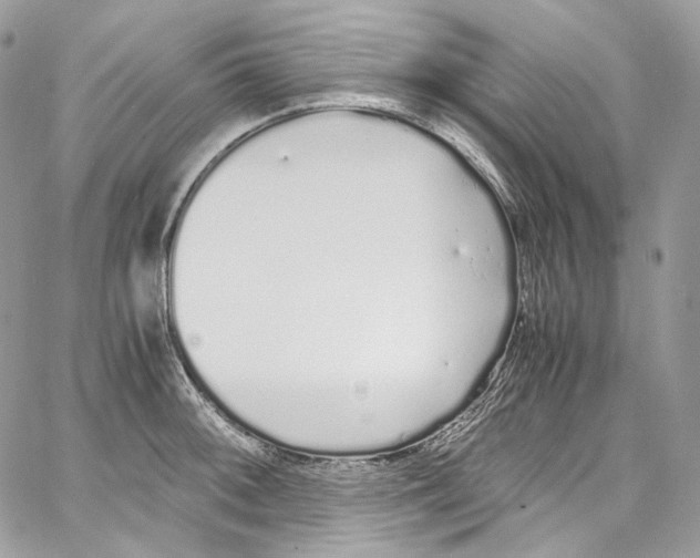 X0000067001092200604241358