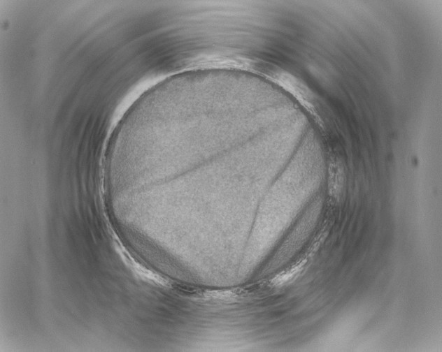 X0000067001094200604241358