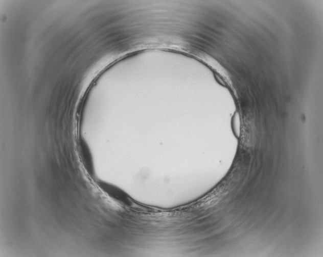 X0000067001096200604241358