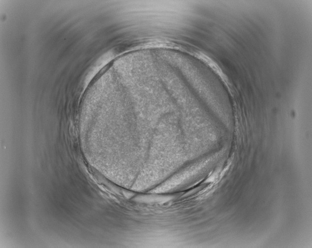 X0000067001097200604241358