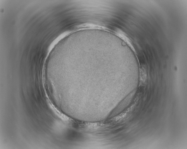 X0000067001098200604241358