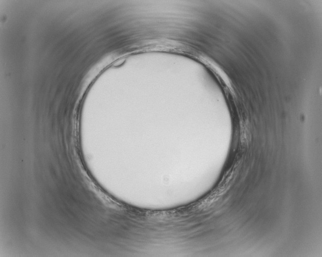 X0000067001099200604241358