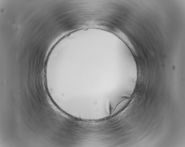 X0000067001100200604241358