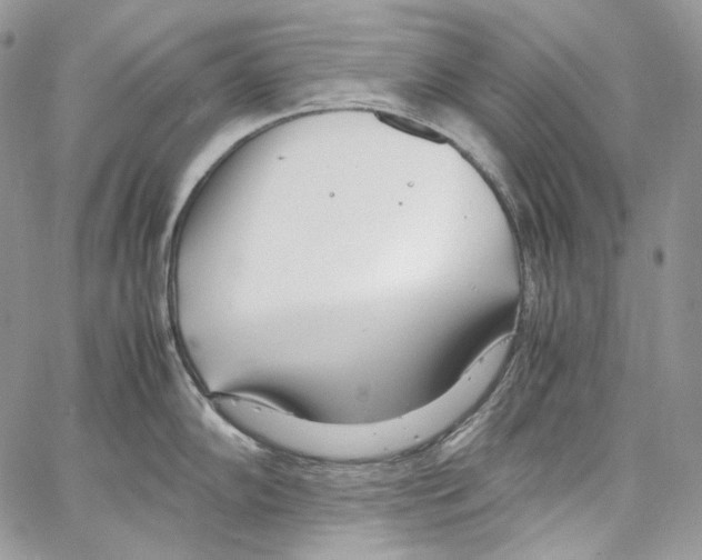 X0000067001102200604241358