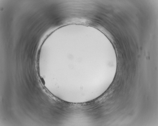 X0000067001104200604241358