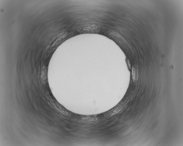 X0000067001107200604241357