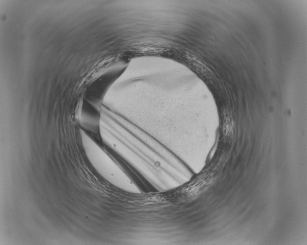 X0000067001108200604241357