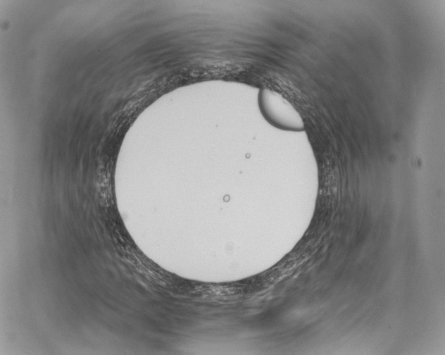 X0000067001109200604241357