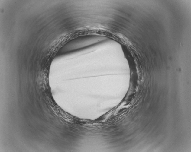 X0000067001110200604241357