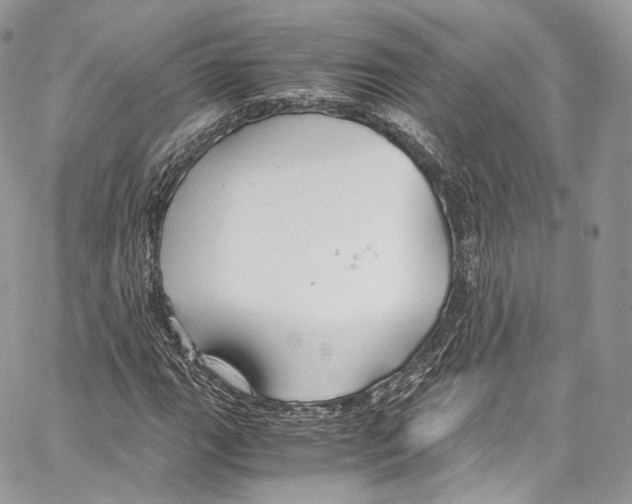 X0000067001111200604241357