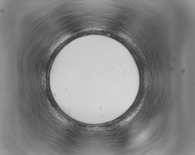 X0000067001113200604241357