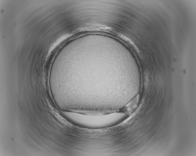 X0000067001114200604241357