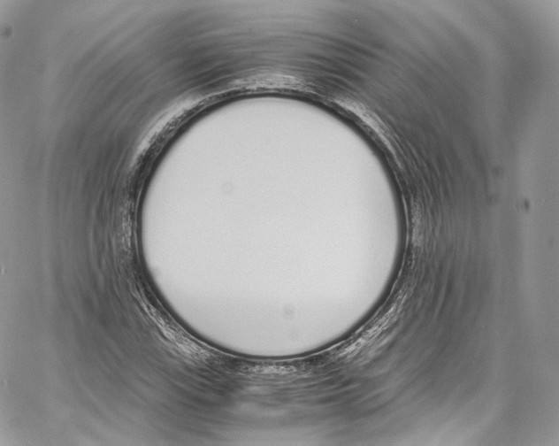 X0000067001115200604241357