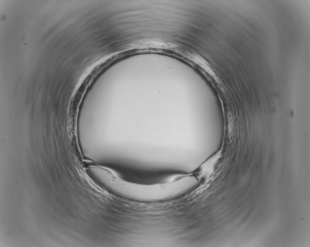 X0000067001116200604241357