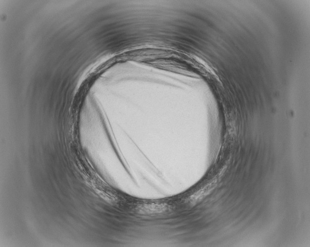 X0000067001117200604241357