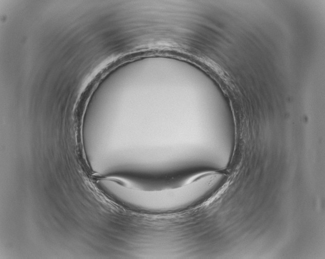 X0000067001118200604241357