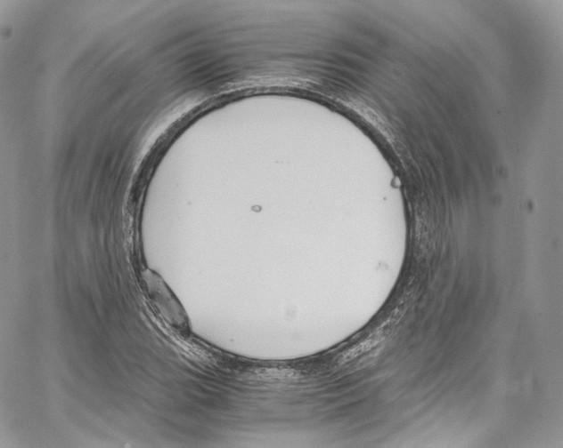 X0000067001119200604241357