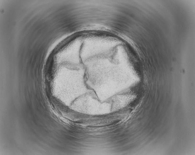 X0000067001120200604241357