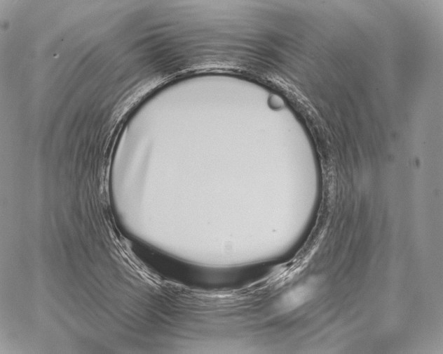 X0000067001121200604241357