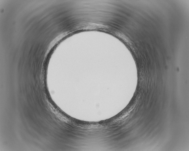 X0000067001122200604241357