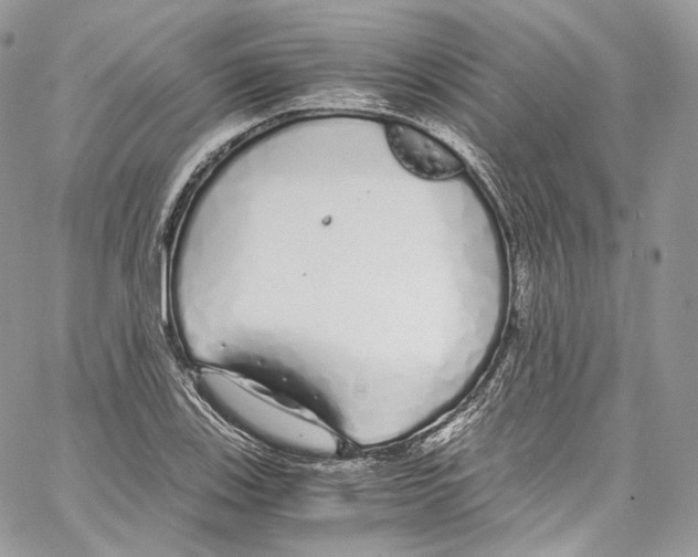 X0000067001123200604241357