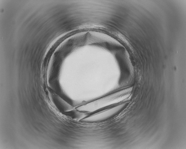 X0000067001124200604241357