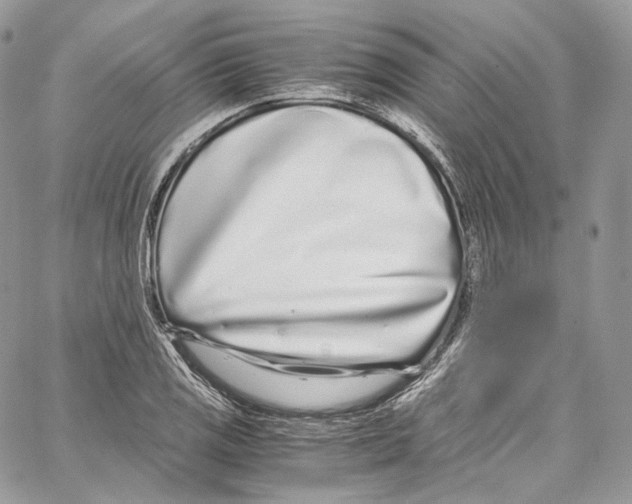 X0000067001125200604241357