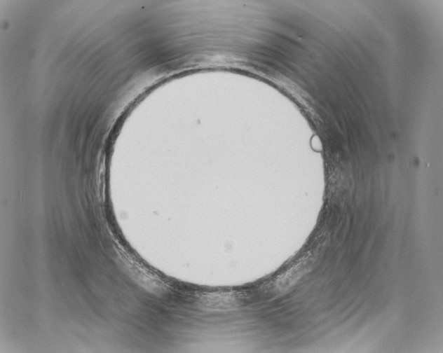 X0000067001126200604241357