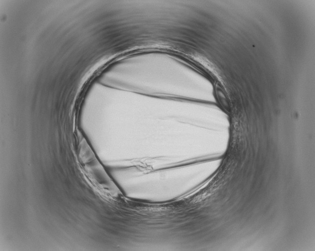 X0000067001127200604241357