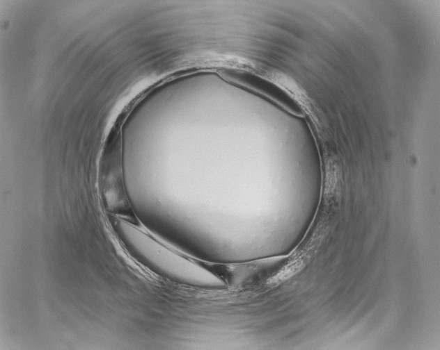 X0000067001128200604241357