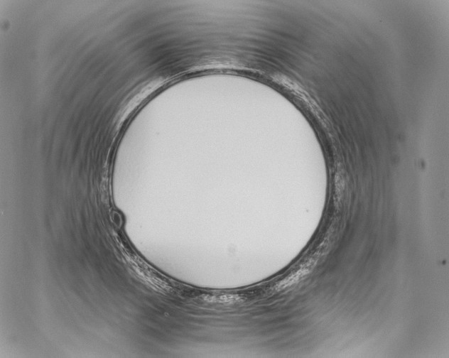 X0000067001129200604241357