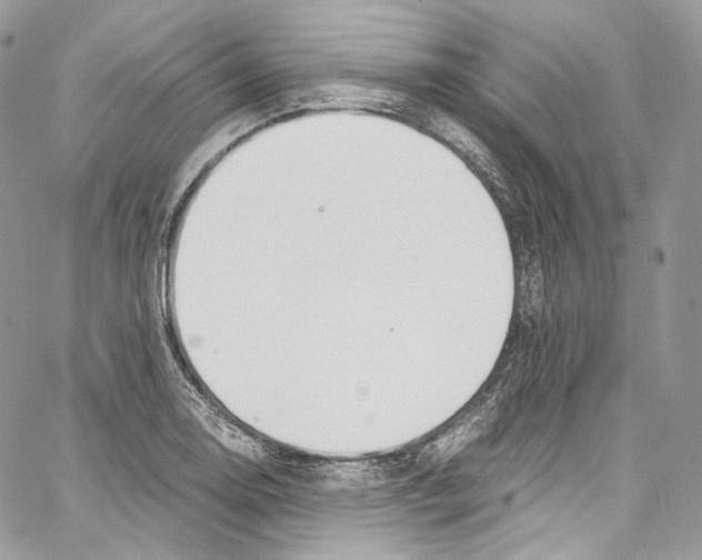 X0000067001130200604241357