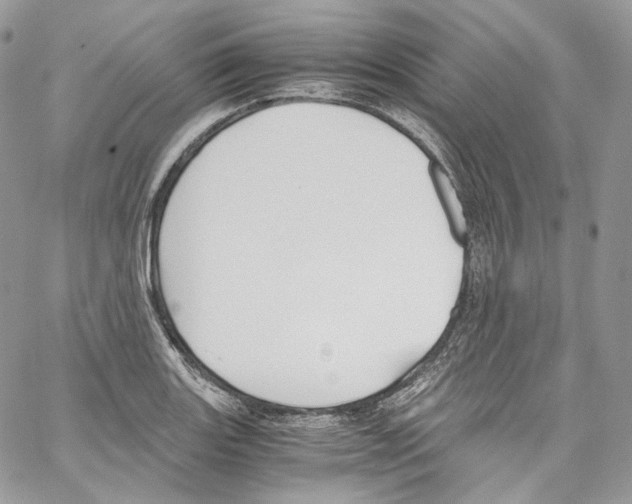 X0000067001131200604241357