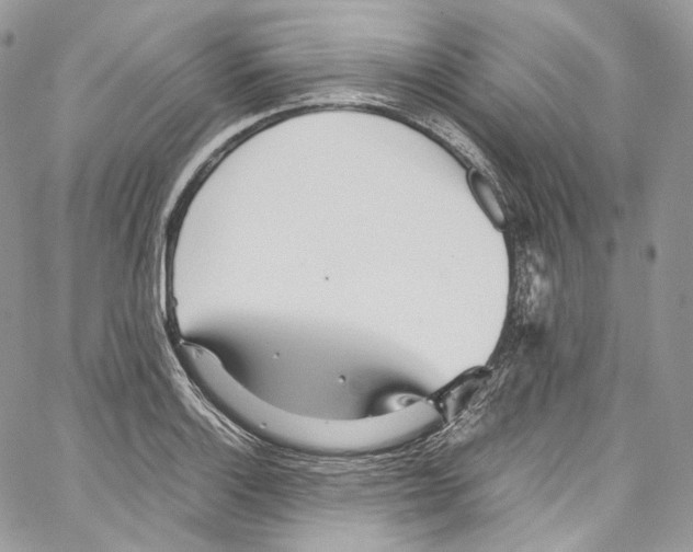 X0000067001132200604241357