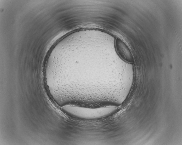 X0000067001133200604241357