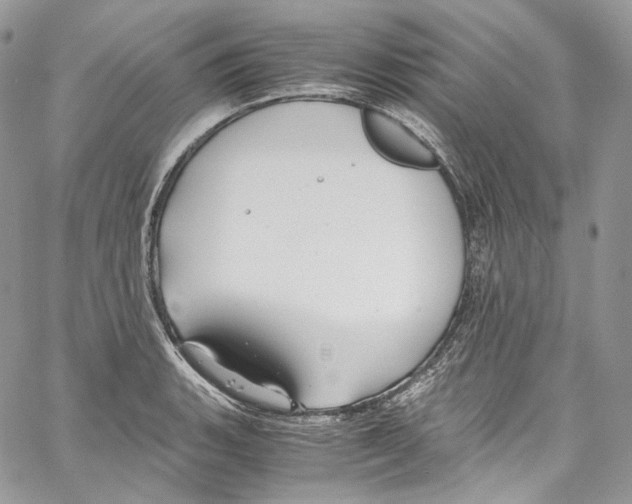 X0000067001135200604241357