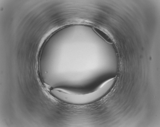 X0000067001136200604241357