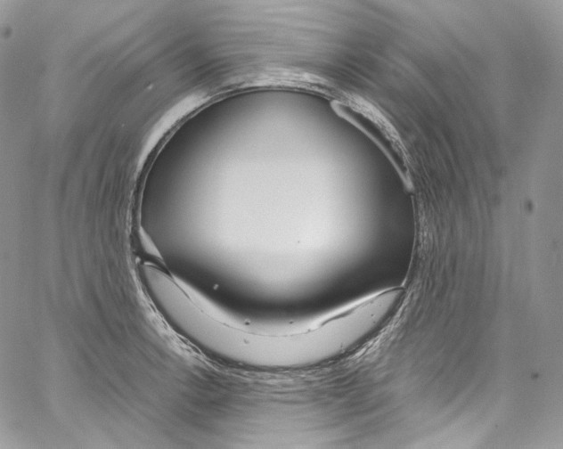 X0000067001138200604241357